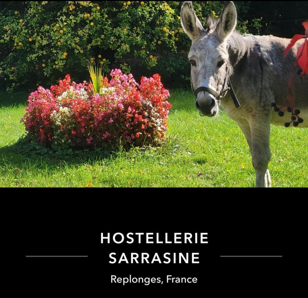 Hostellerie Sarrasine - Macon Est Replonges Екстериор снимка